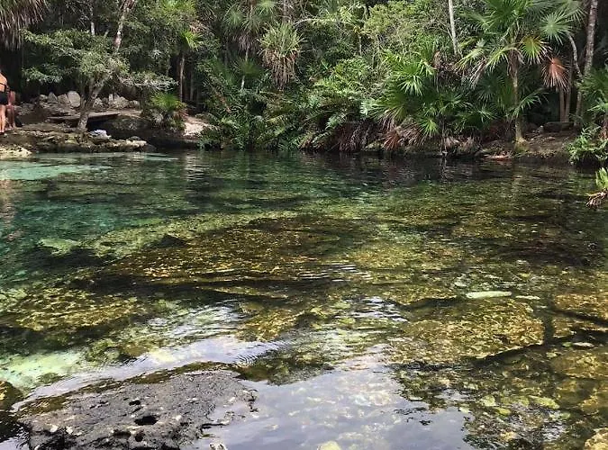 Selvatica Con Piscina En